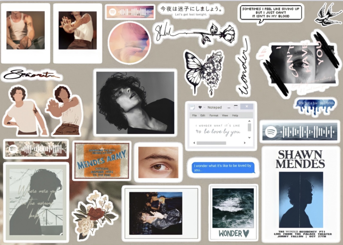 پک شان کد ۱۱۹۵