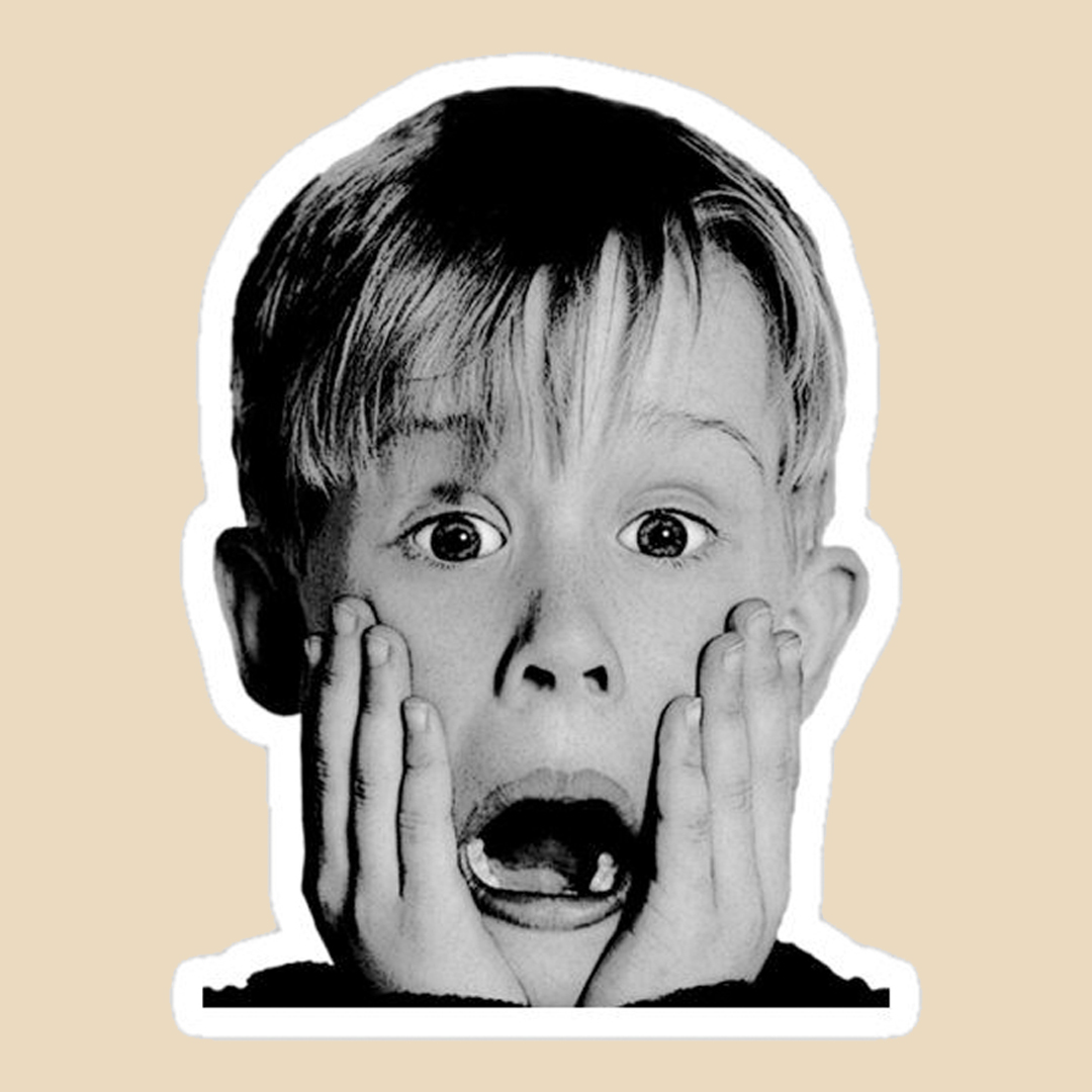 استیکر home alone کد 1167