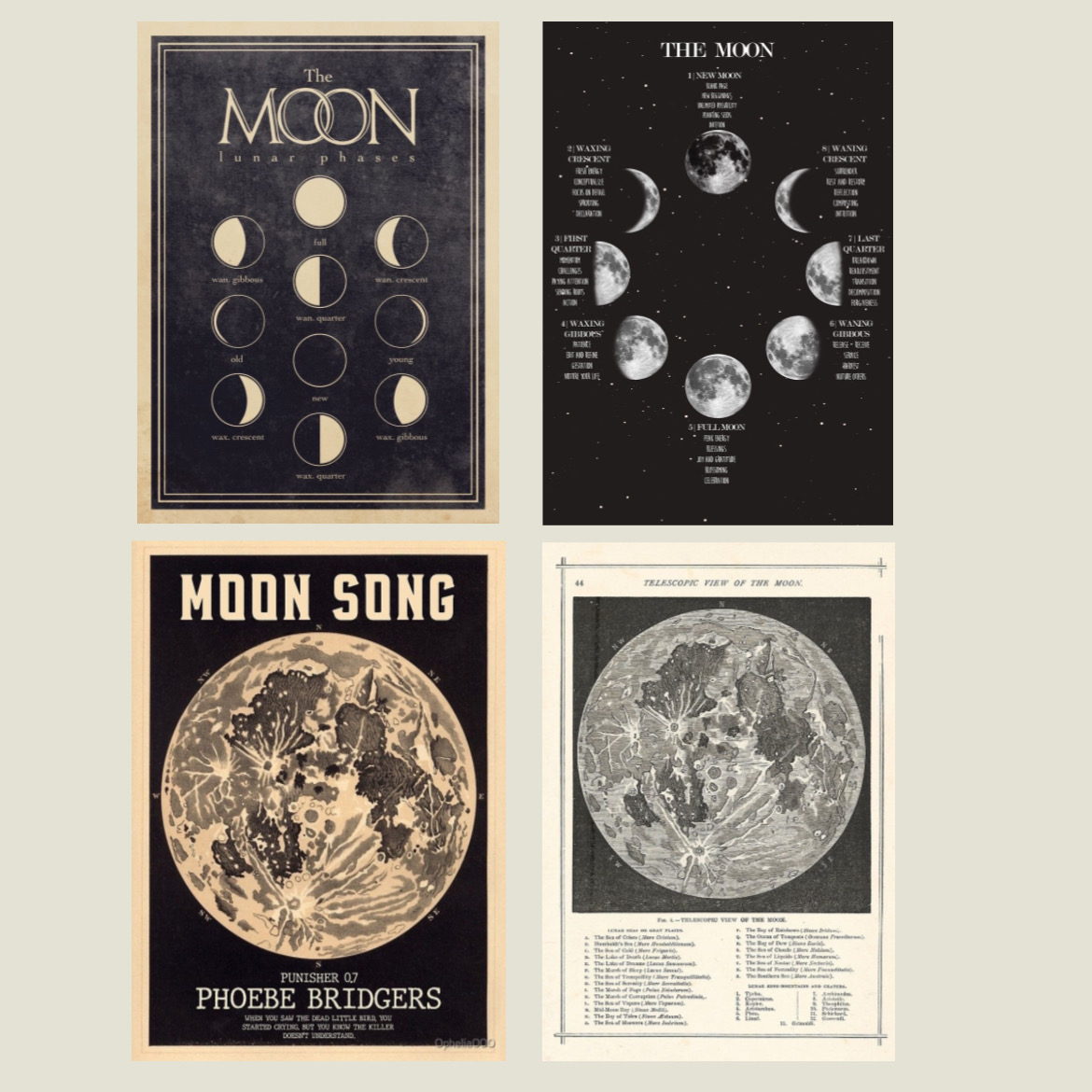 پک پوستر the moon knows