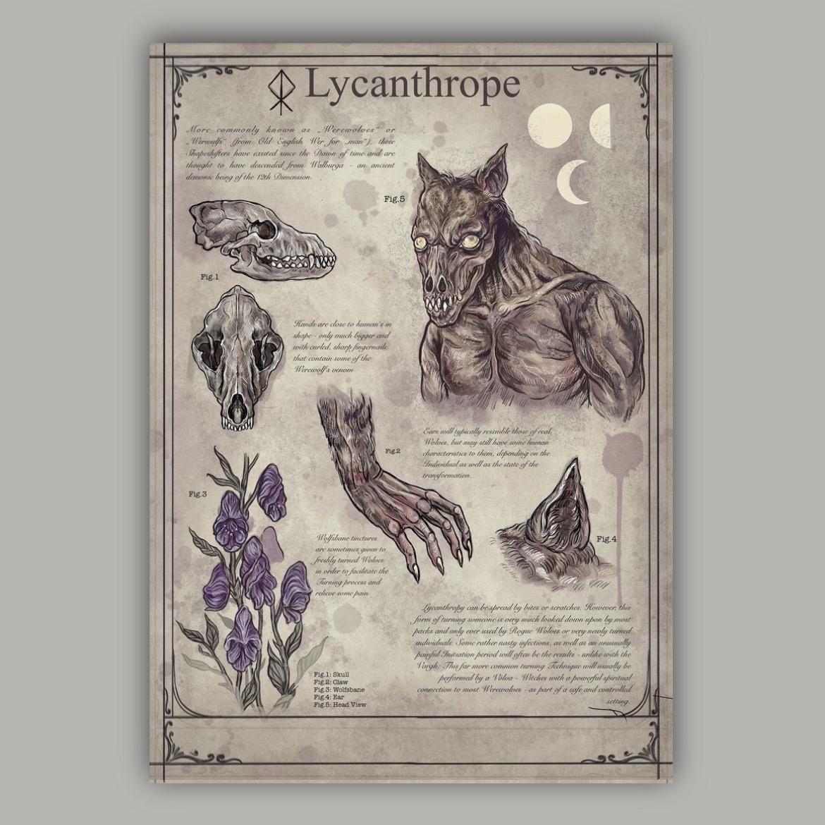 پوستر Lycanthrope