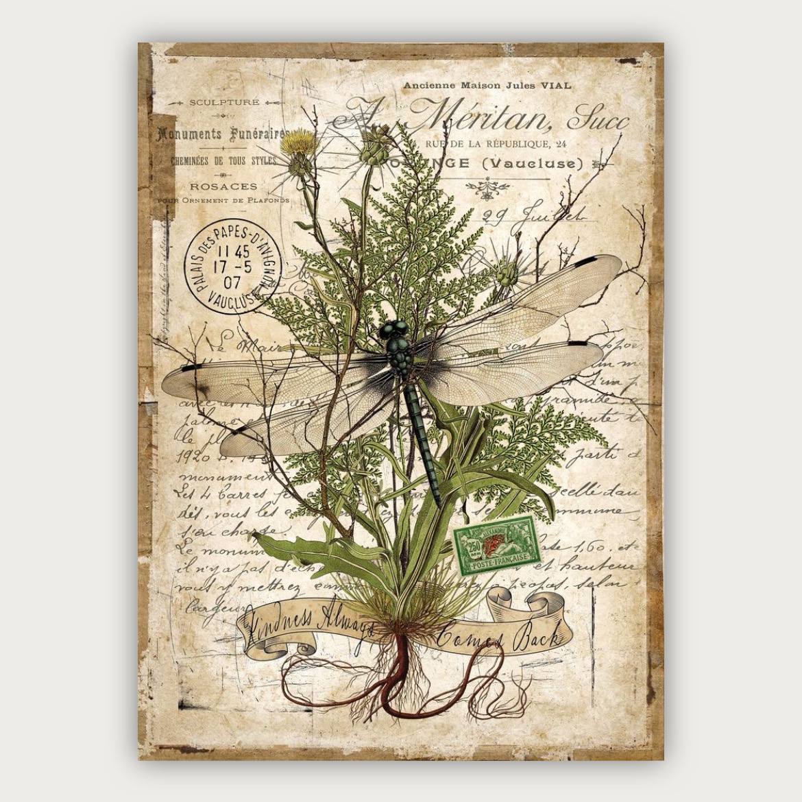 پوستر سنجاقک