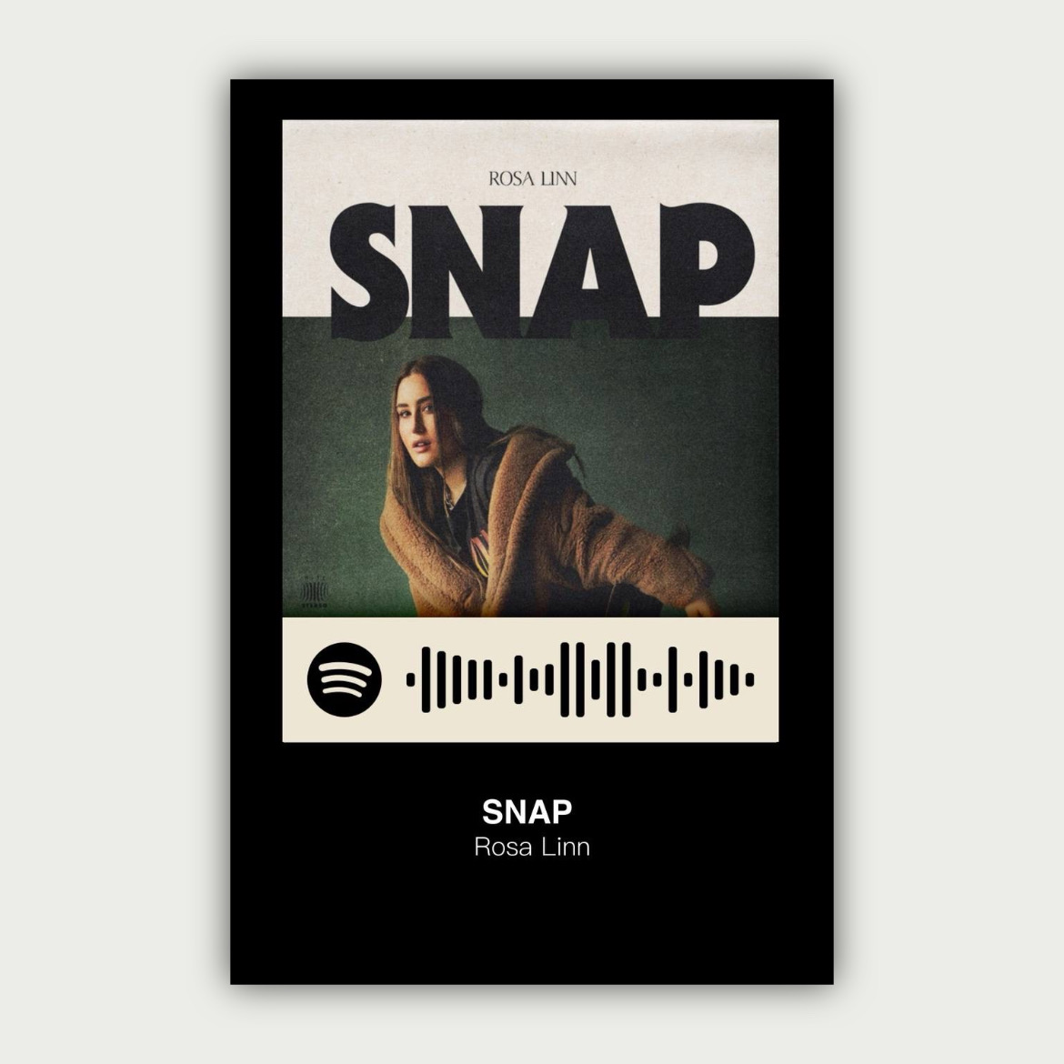 پوستر Snap