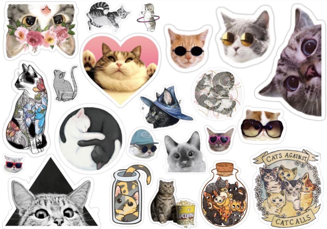 پک پیشی ۱۱۸۰