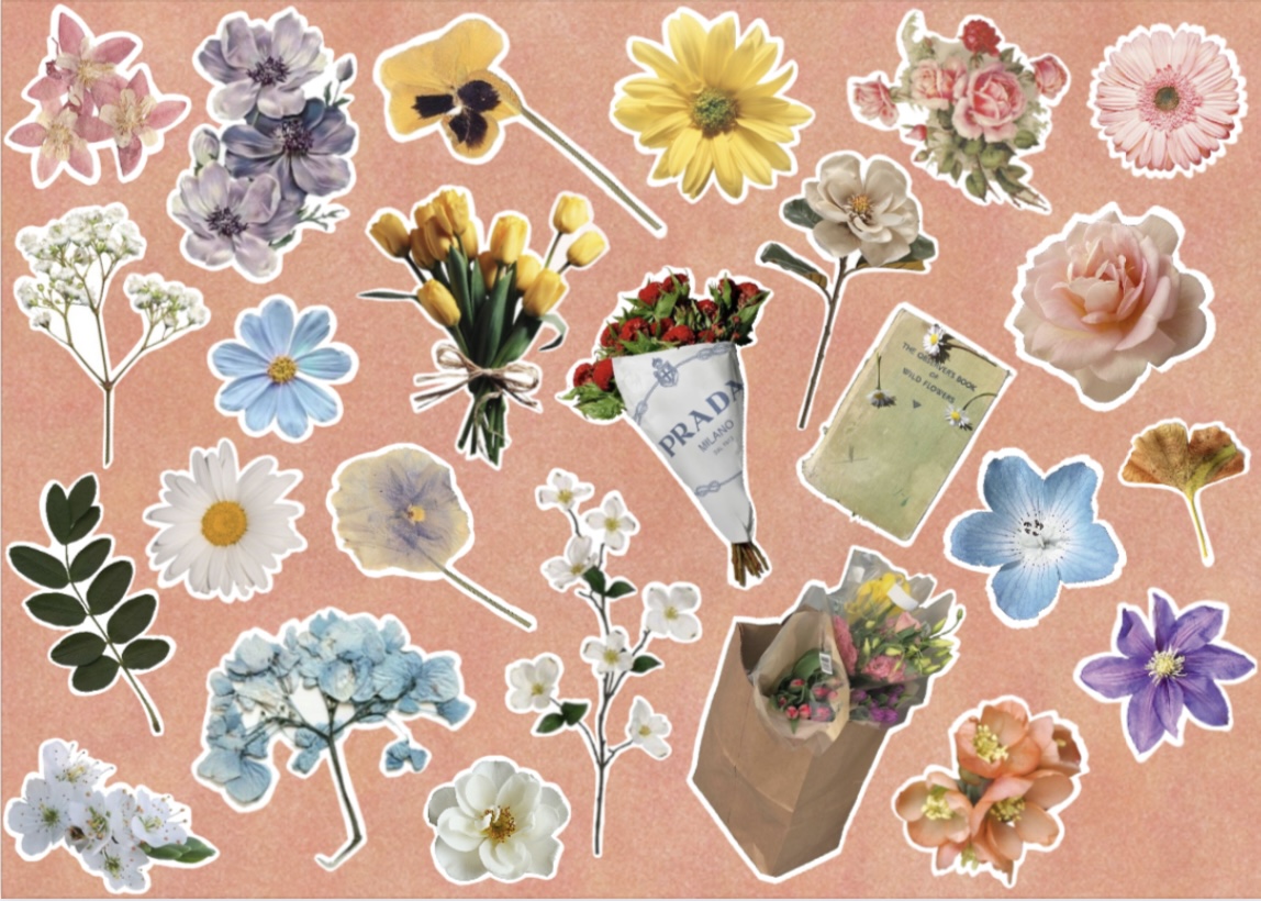 پک گل کد ۱۲۰۶