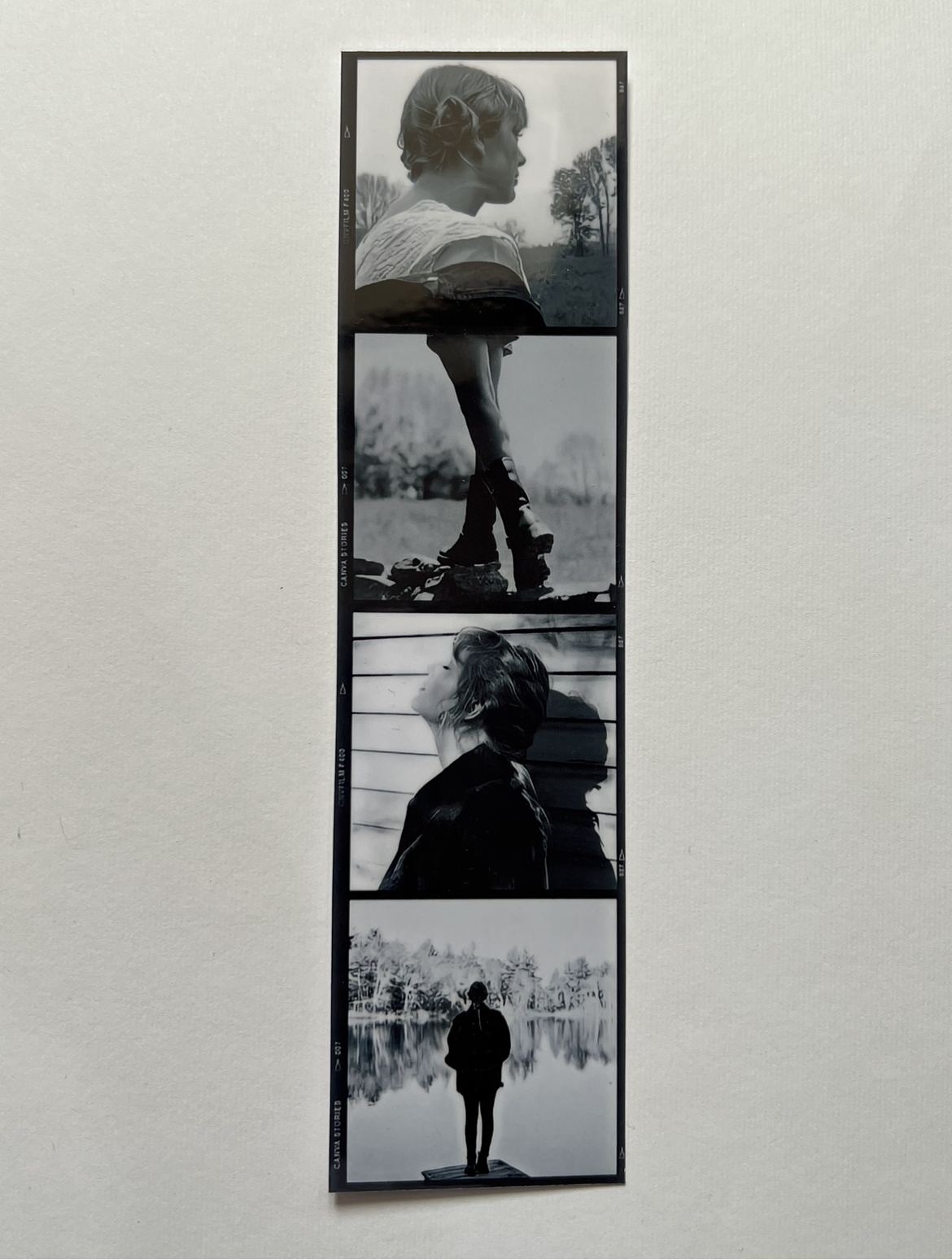 بوک مارک تیلور