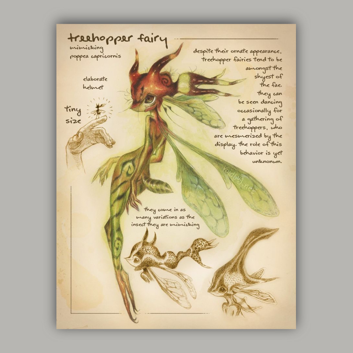 پوستر پری کوچولو