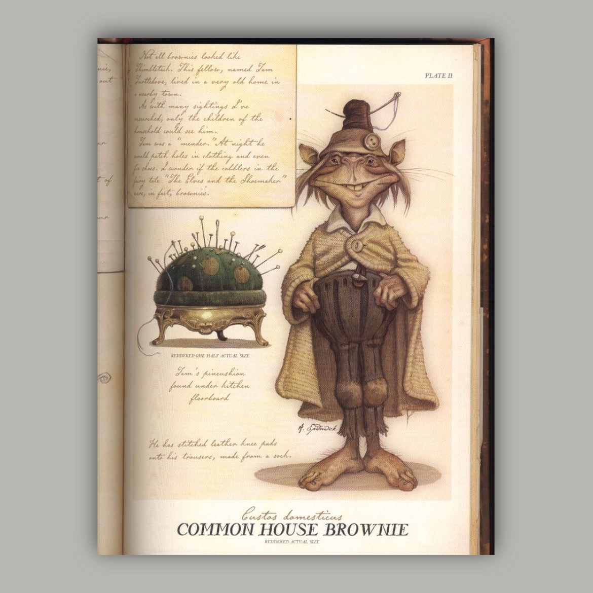 پوستر common house brownie