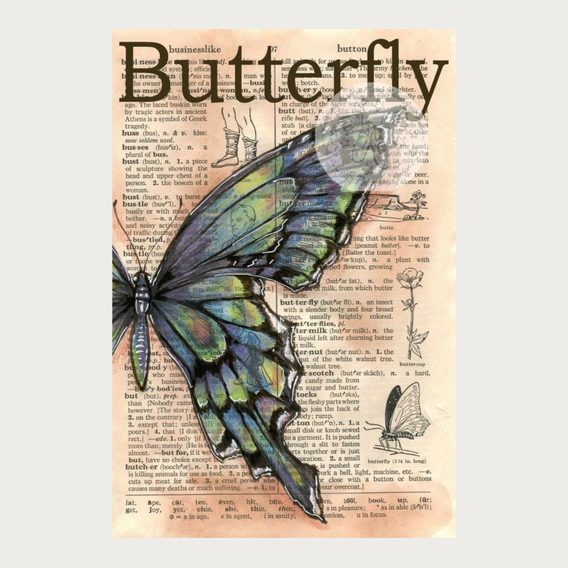 پوستر پروانه