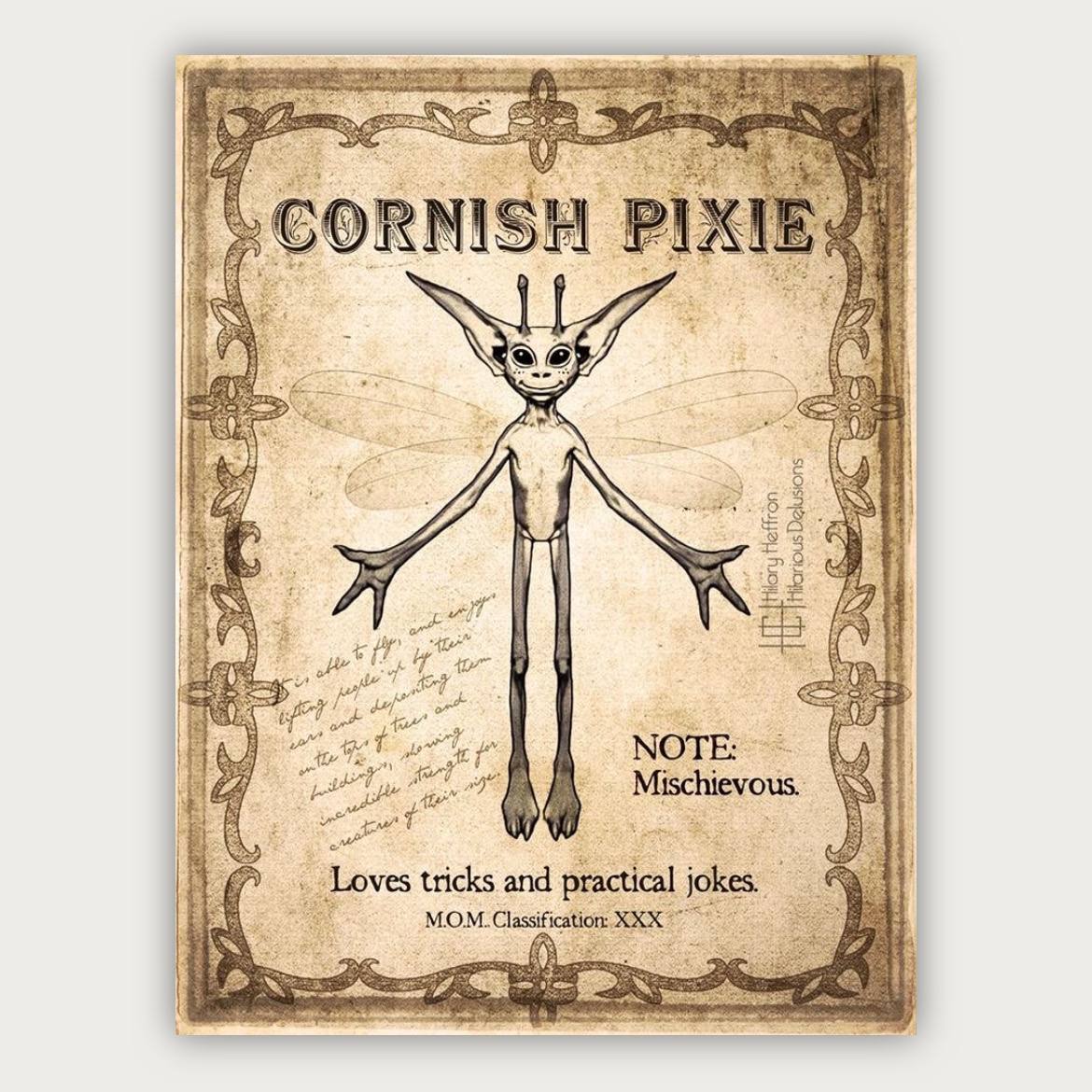 پوستر پیکسی