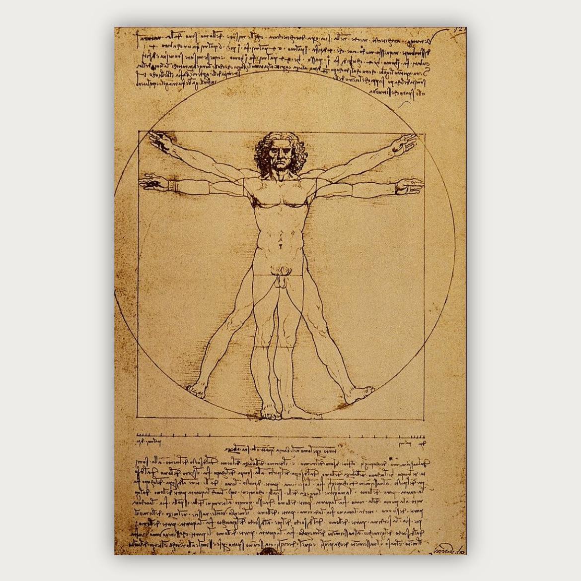 پوستر داوینچی