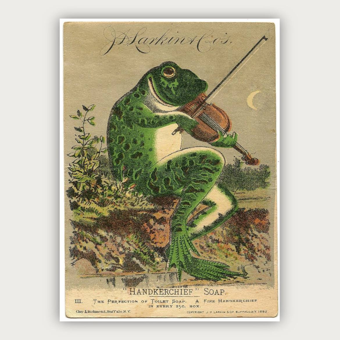 پوستر قورباغه نوازنده