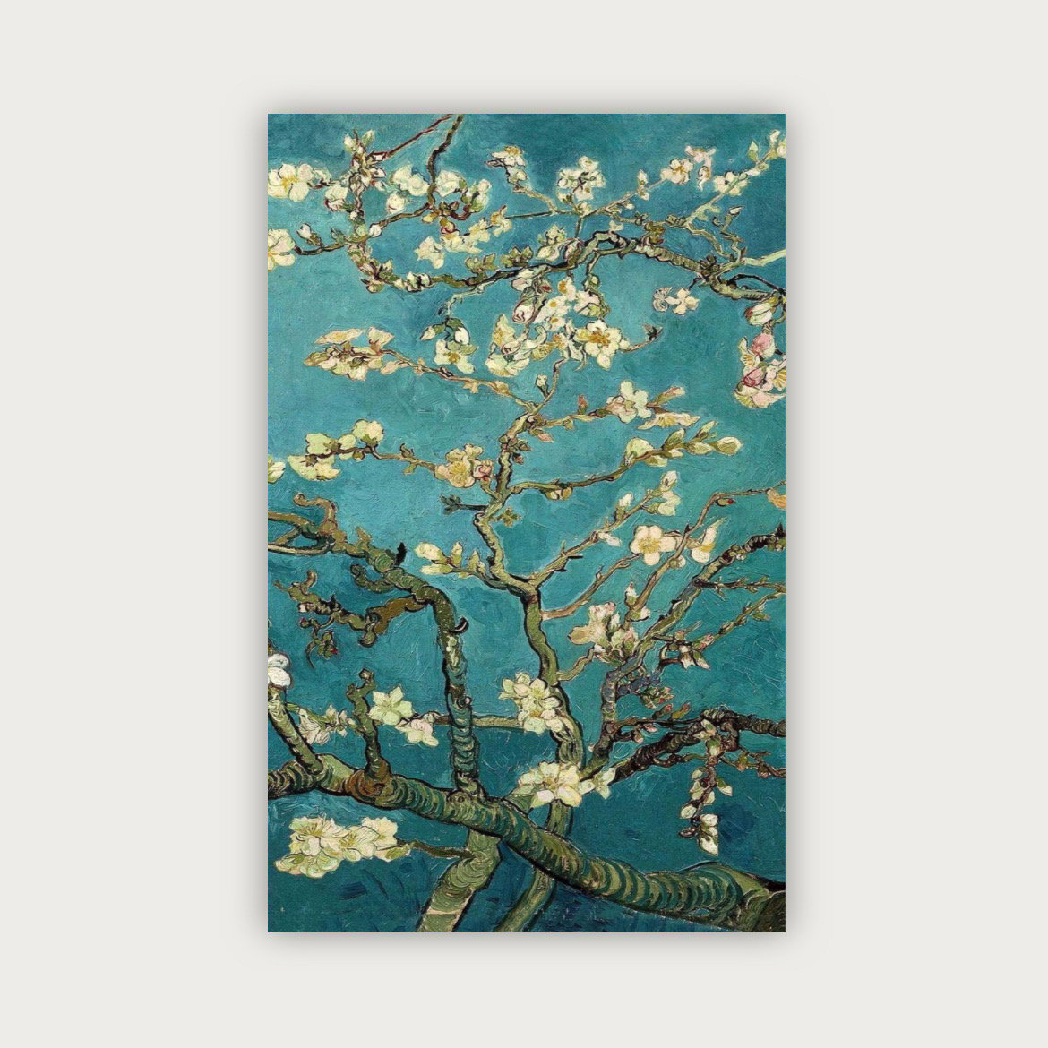 پوستر شکوفه های بادام